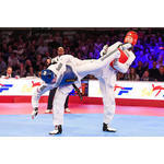 ** SEARCH CONCLUDED ** - CHIEF EXECUTIVE OFFICER  -  GB TAEKWONDO 